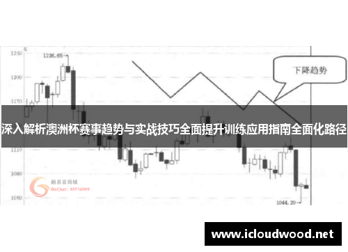 深入解析澳洲杯赛事趋势与实战技巧全面提升训练应用指南全面化路径